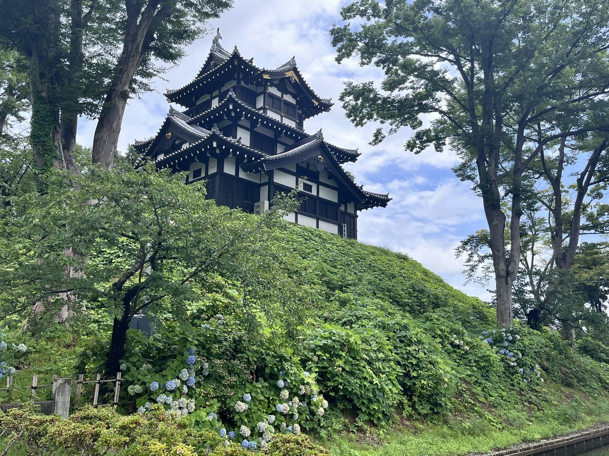 kyonta_ro118's tweet photo. 高田城跡
急遽立ち寄ることができました！
蓮の花が綺麗でした🪷 https://t.co/aiN9pTjEdq