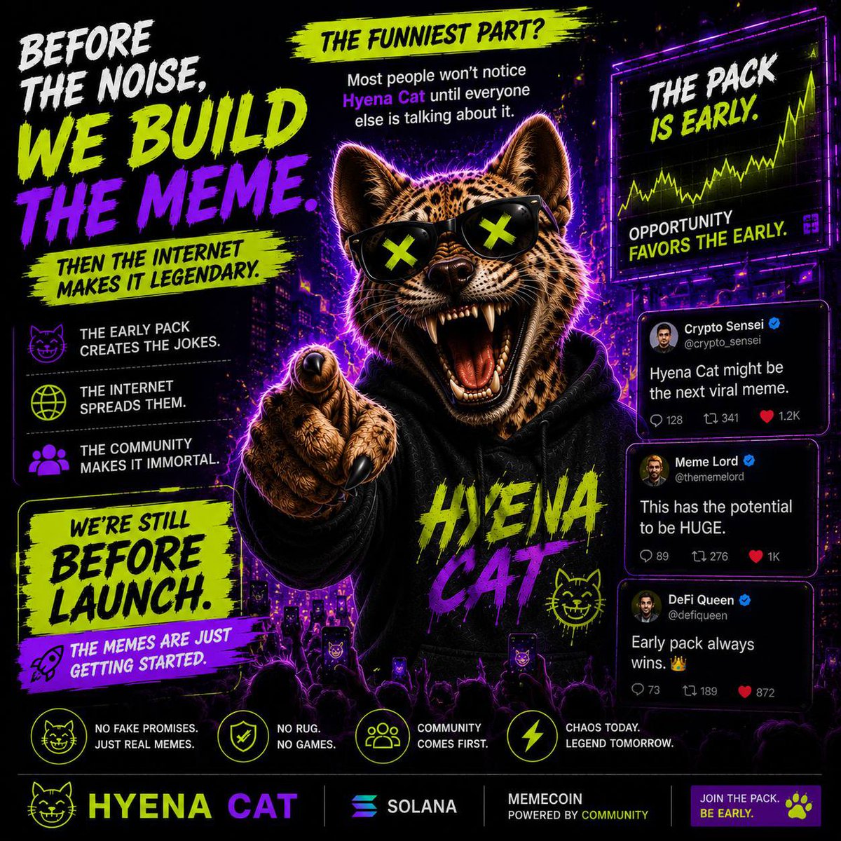 Hyena Cat Sol tweet media