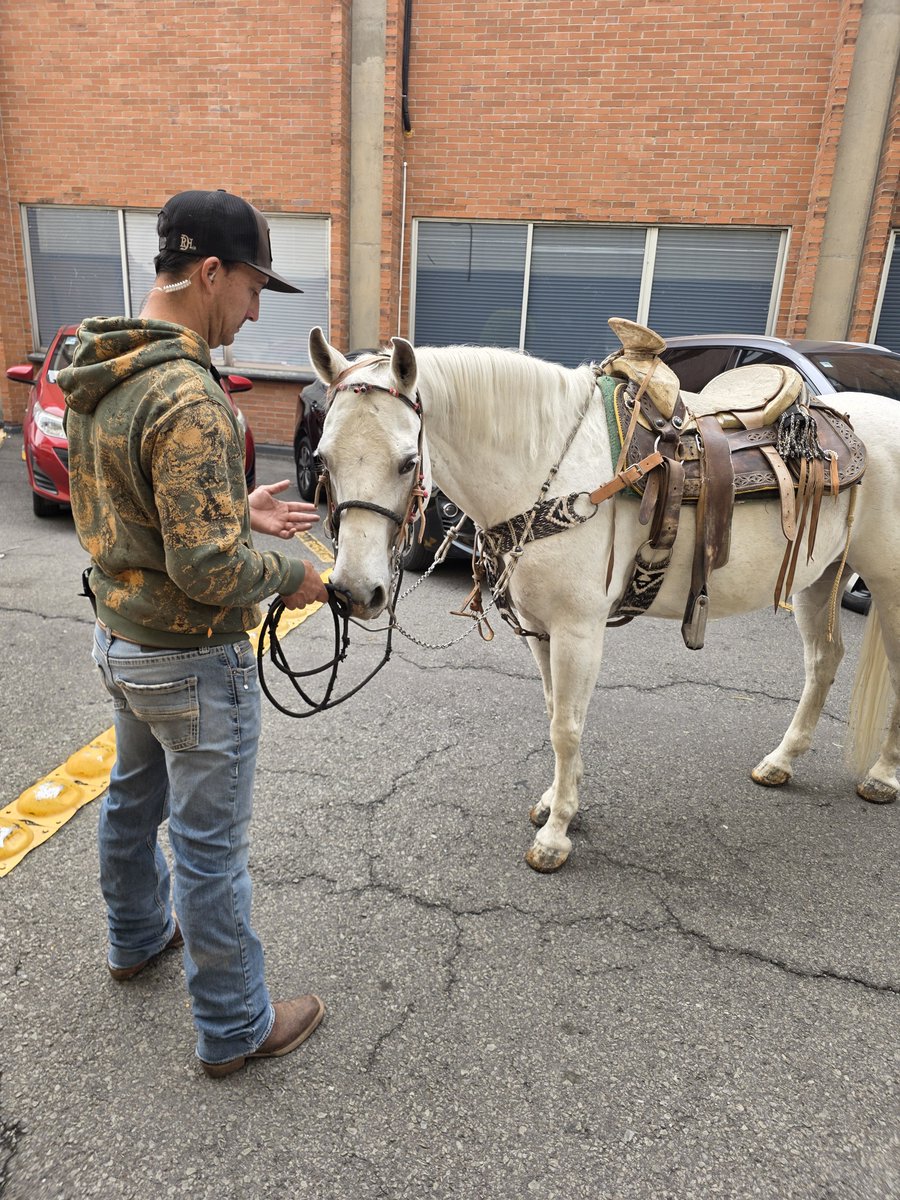 Adad_94's tweet photo. "Que paso caballo. Caballo... Blanco?".
@DRZUPREEME https://t.co/IgyHkXaocy