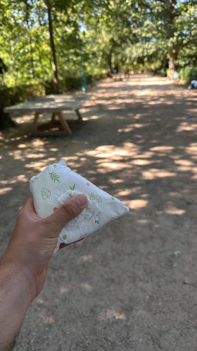 BretonFinance's tweet photo. À 2 doigts de laisser cette couche dans votre putain de parc de Thabor sans poubelles @metropolerennes ! C’est incroyable de marcher autant sans en croiser une https://t.co/NzVtX0qePw