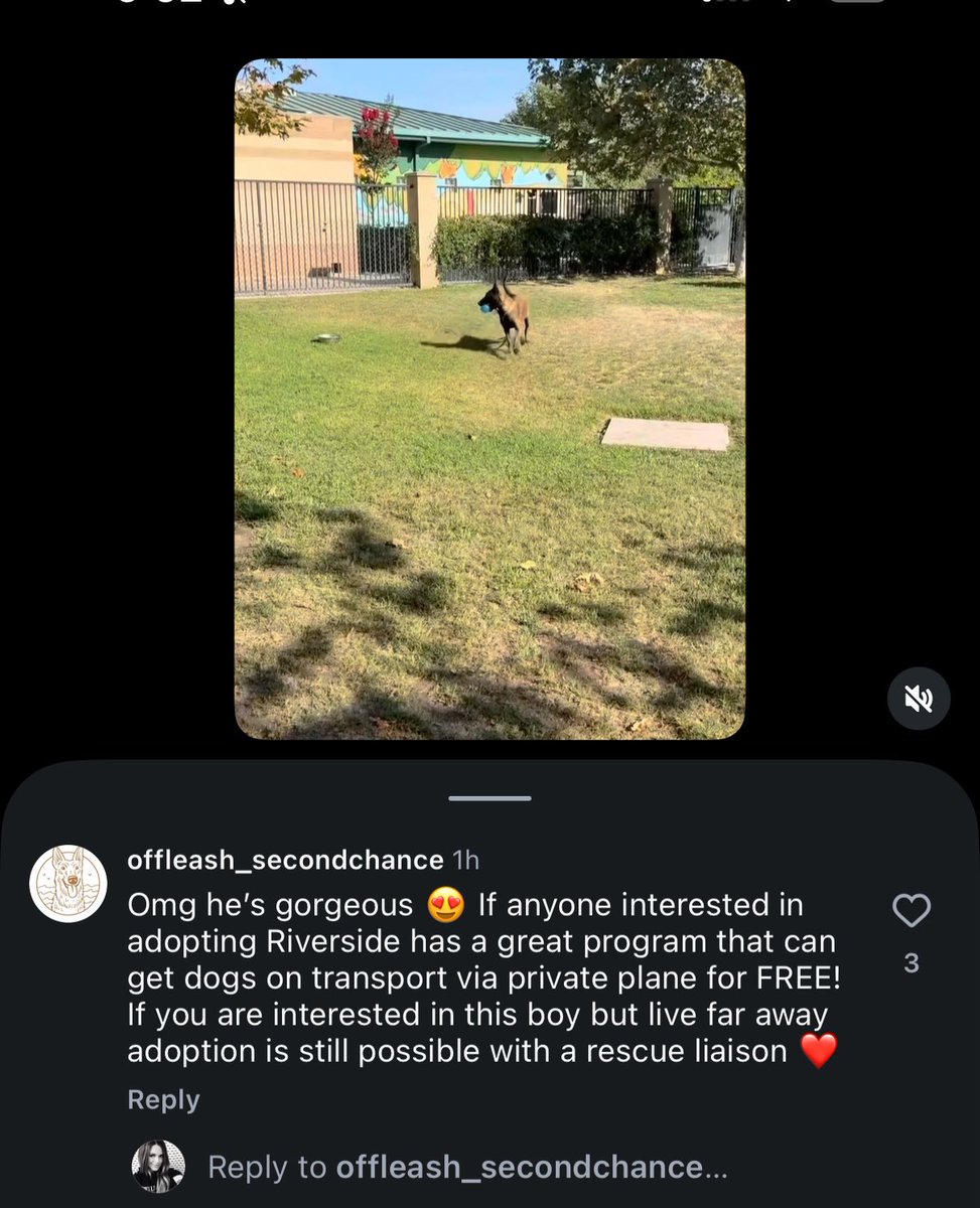 SabaMekaZeus's tweet photo. @JHRSister Call the number and discuss, as I understand Riverside has a Program to Transport to Adopter. 

I just learned about it👇🏼 https://t.co/UDjbQRr1xB