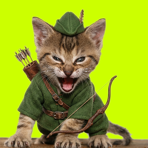 navi9000x's tweet photo. i can’t stop thinking about how $TYGR is a 10/10 coin and narrative for Robinhood

the roar is getting louder https://t.co/HtkbnyYAlP