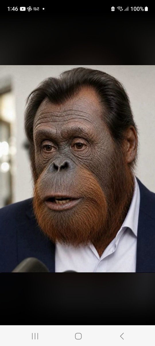 BurgoVega's tweet photo. HOMBRE O MONO POR LO QUE SE VE!! 
MONO ENTRE EL SEBOSO MALOLIENTE ÓSCAR LOPEZEL PARASITO MONO O CHIMPANCES ÓSCAR PUENTE SE ROMPE EL CIRCULO.
EL SEBOSO HUELE MAL ESO NO ES NUEVO.
OSCAR PUENTE ESE SABIENDO DE DONDE LLEGA SU HERMANA CARA DE ZAPATILLA SUDADA,  FEA PERO ENCHUFDA !! https://t.co/ZWPmL7a6an