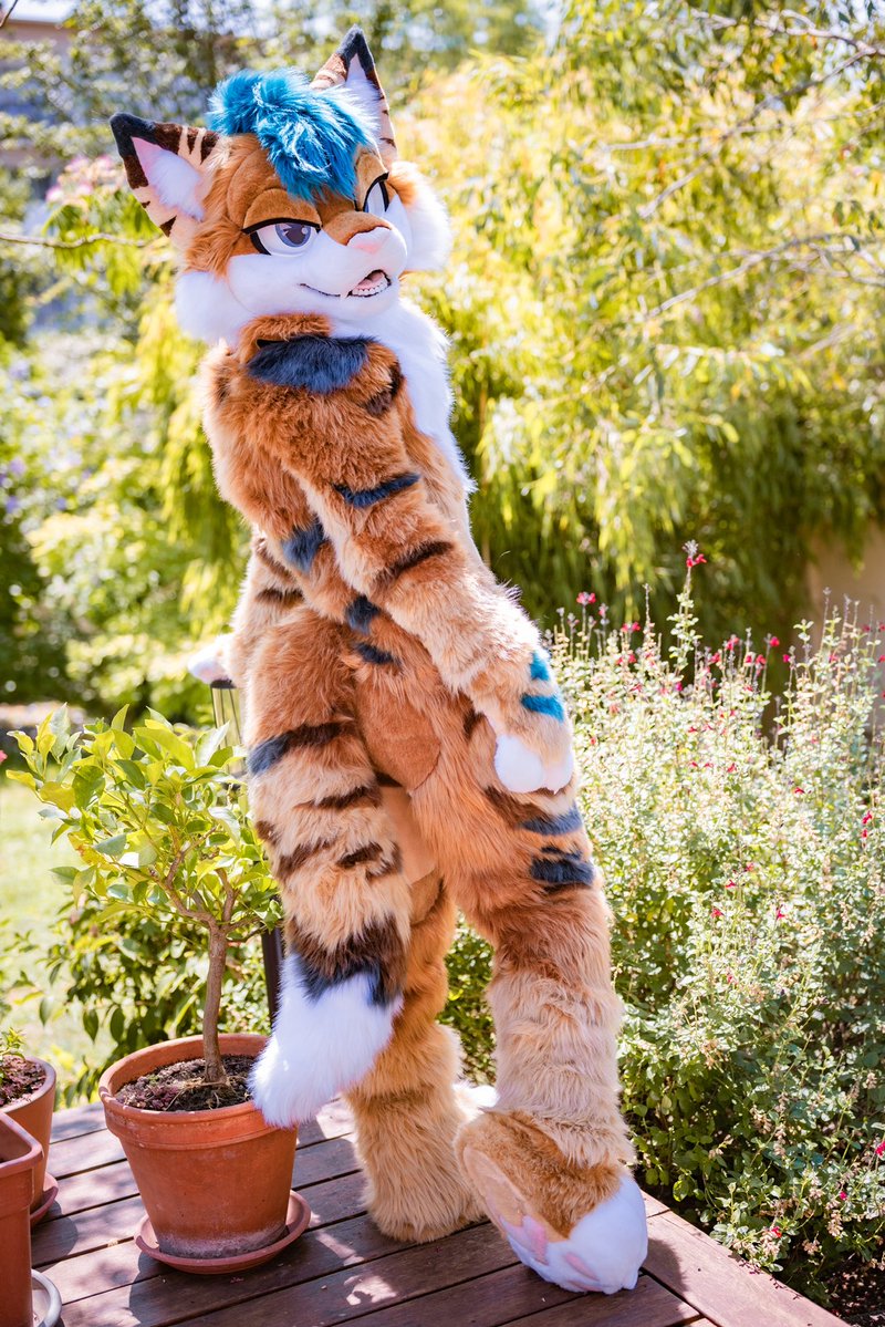 HybridLabs Fursuits 🐺🐉 tweet media
