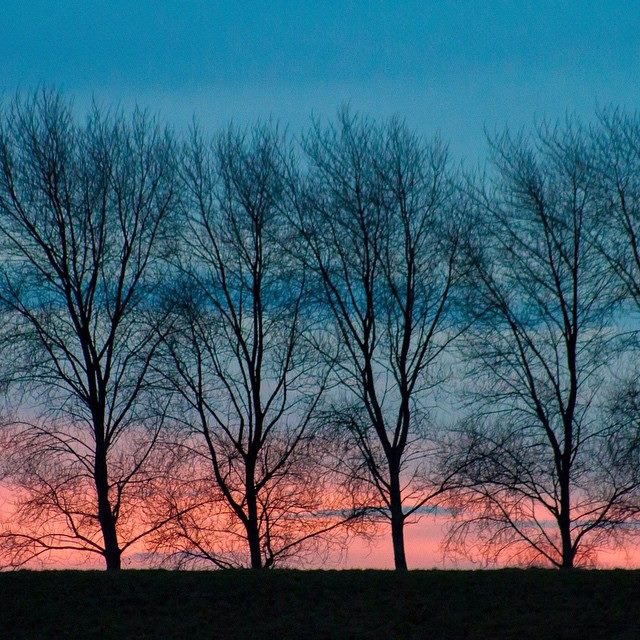 Havenlust's tweet photo. Can silence have a color? https://t.co/E1yIuNytdR