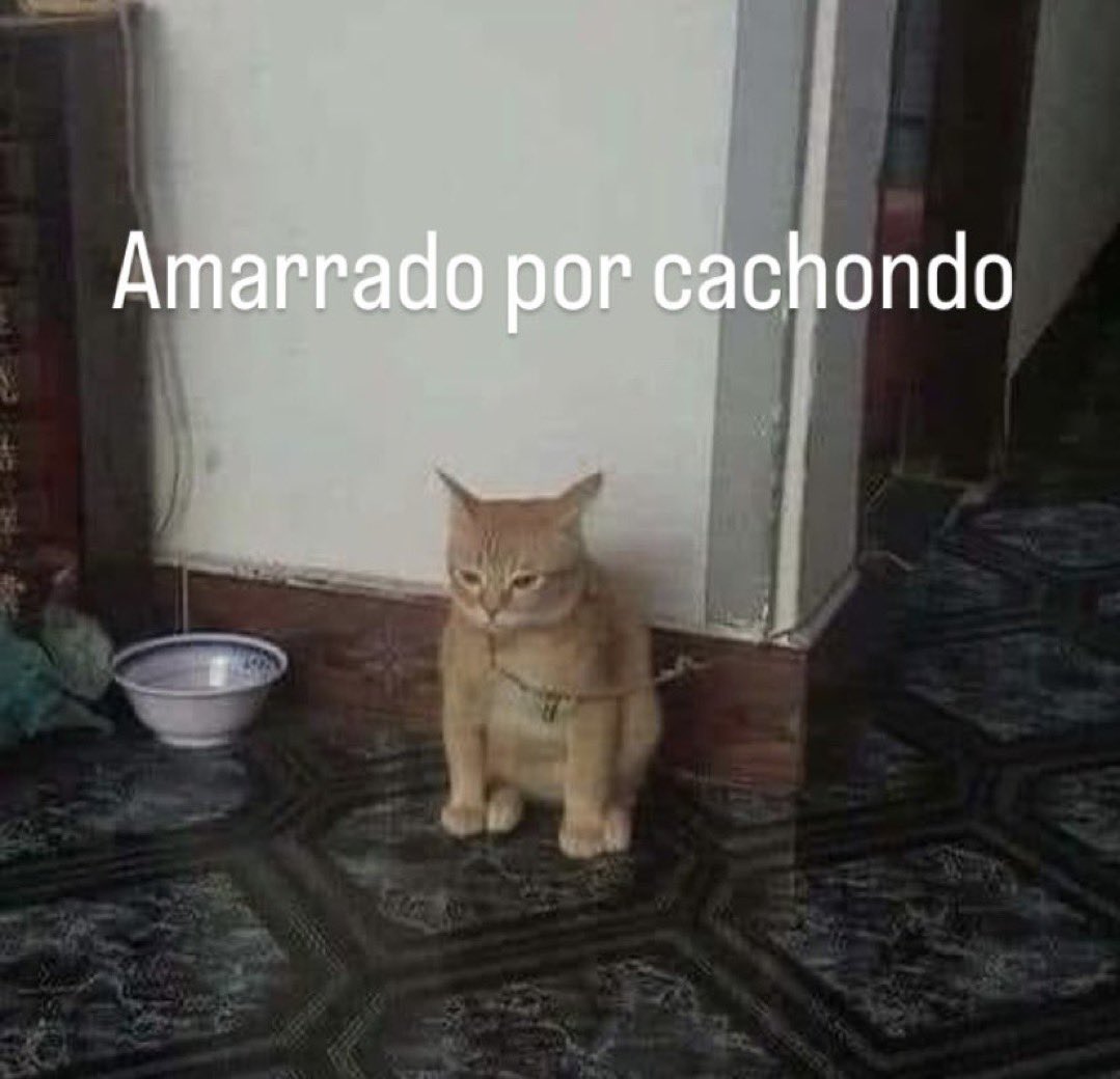 gabrrlgh's tweet photo. soy ese https://t.co/RqPXh4Djhn
