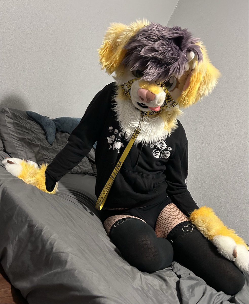 figsthedog's tweet photo. fishnets are pretty cool .. :3

#furry #fursuit #femboy https://t.co/sRpJGJYupH