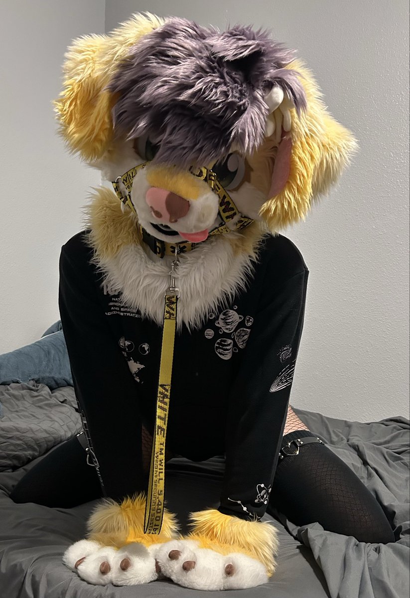 figsthedog's tweet photo. fishnets are pretty cool .. :3

#furry #fursuit #femboy https://t.co/sRpJGJYupH