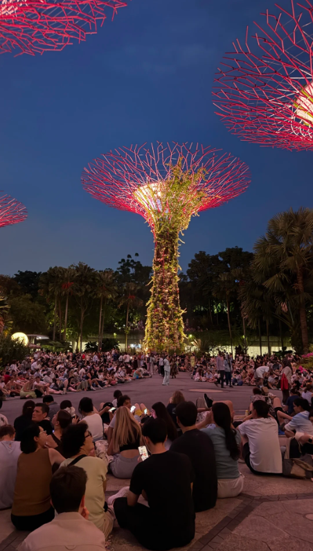 lim62316se's tweet photo. On my way home from get off work, I passed by this place and saw many people sitting there. Looking up, the Supertree was lit up with lights, it was so beautiful... https://t.co/DvS8fo9zY1