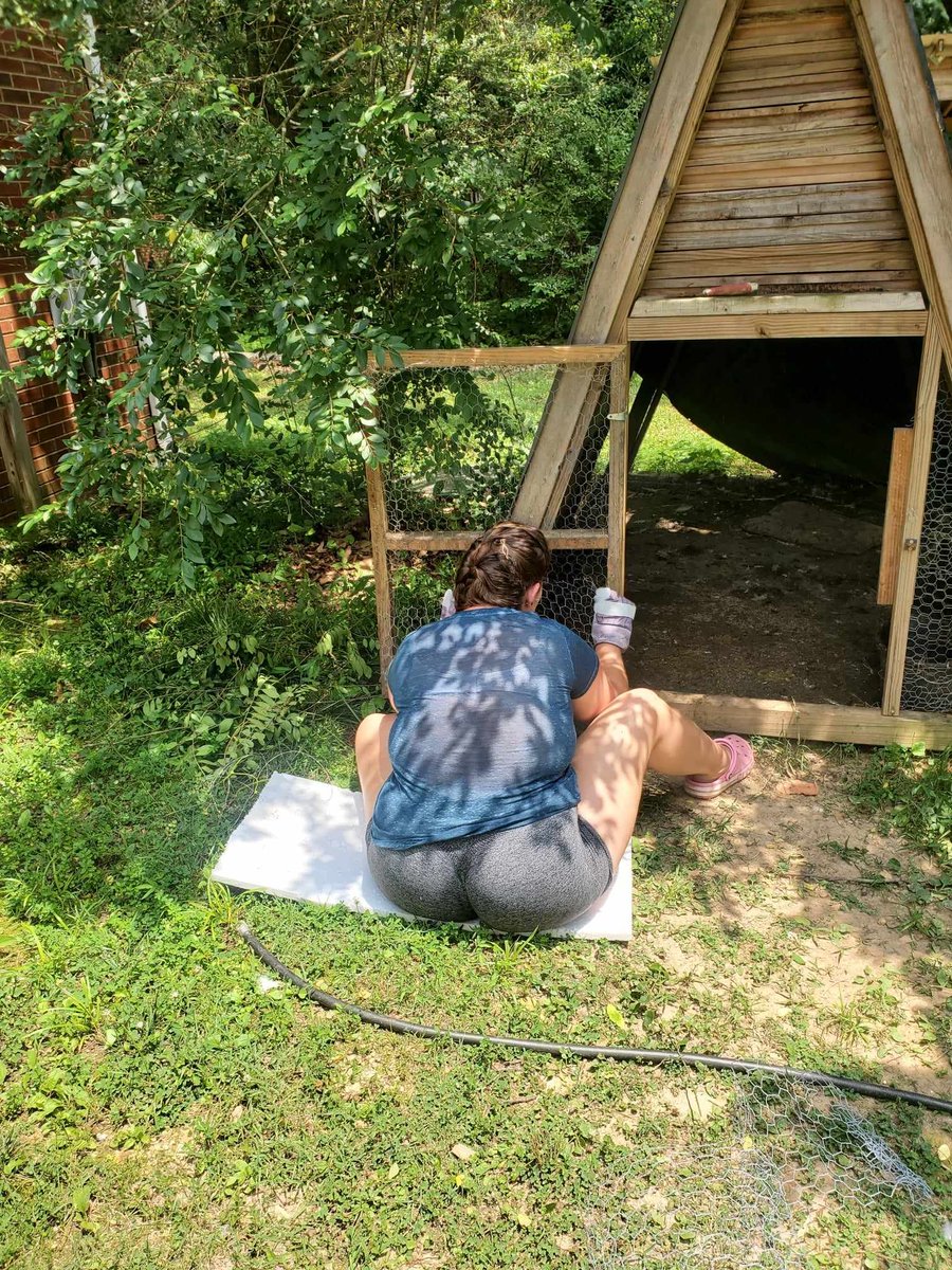 farmlifecowgirl's tweet photo. Life is good in the country https://t.co/tpfacv0ihz