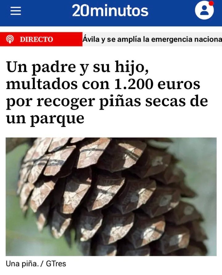ayrsuhp's tweet photo. @AntonioRNaranjo Más bien de joder el campo a base de dejadez, ecolojetismo  y burocracia, mucha burocracia. https://t.co/MhfmMxcZkN