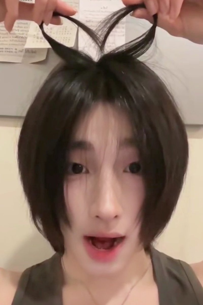 lcccc1423's tweet photo. Go live more often,cute baby.🥰🤲🏻#teddyyy https://t.co/XhJiYNX2C8