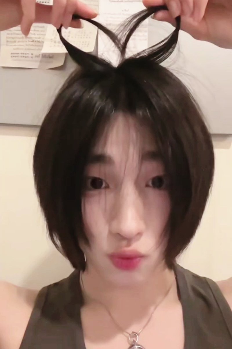 lcccc1423's tweet photo. Go live more often,cute baby.🥰🤲🏻#teddyyy https://t.co/XhJiYNX2C8