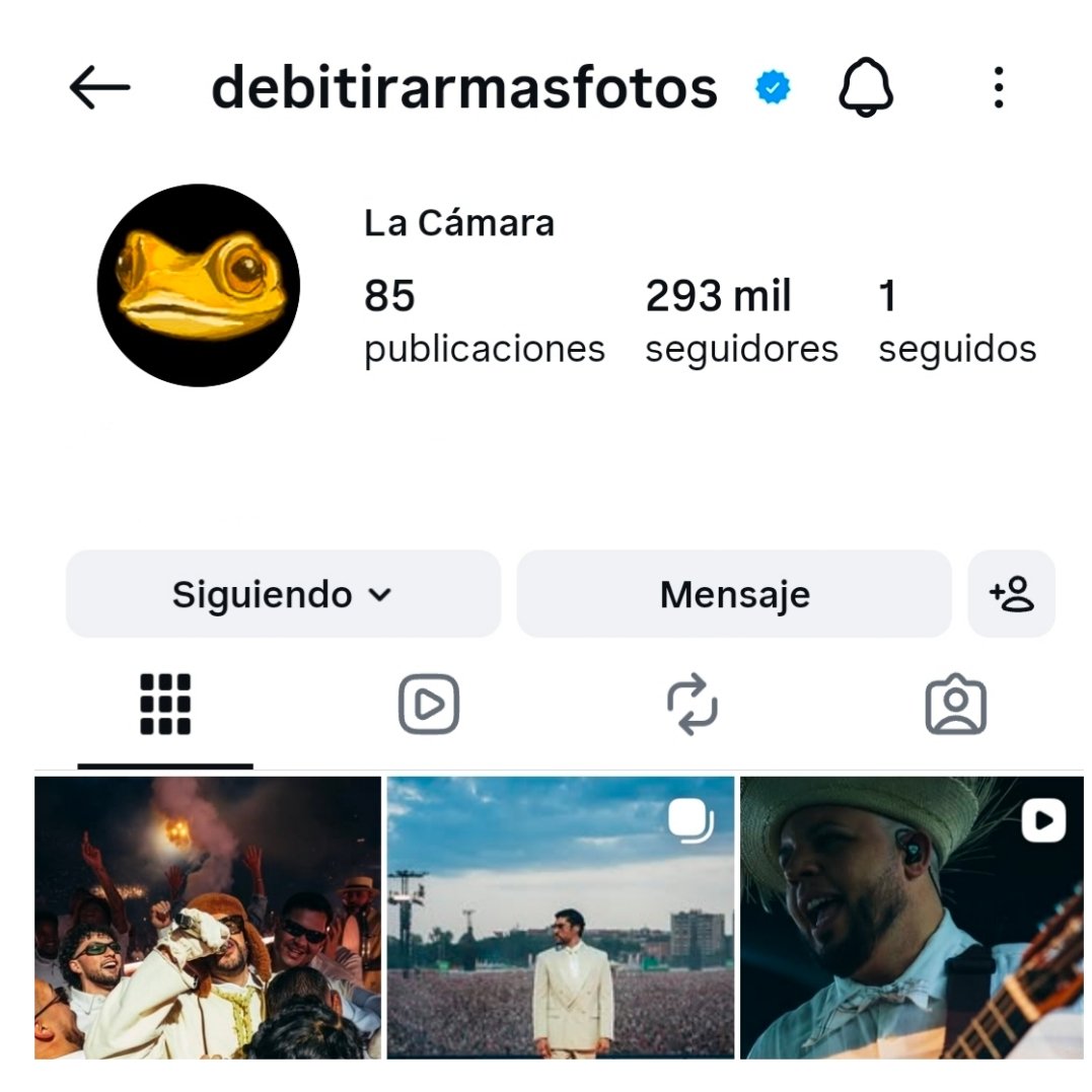 BAD BUNNY DAILY UPDATES tweet media