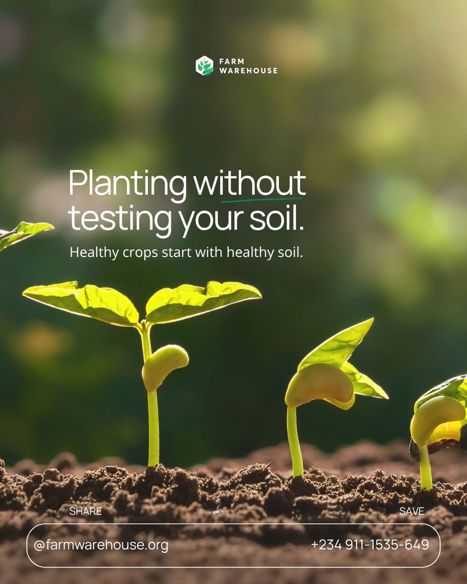 farmwarehouse_'s tweet photo. Some of the most expensive farming mistakes happen before planting even begins. 🌱

A little planning today can save time, money, and improve your harvest tomorrow.

Which planting mistake do you think farmers make most often? 👇

#FarmWarehouse #PlantingSeason #SmartFarming https://t.co/6B8q0L9hSx