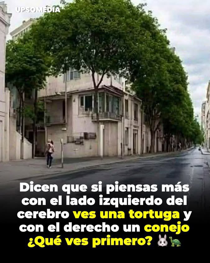 joseepara2's tweet photo. @LQuino47372 Idéntico al Expresidente de Funvisis Garces. Oh No? https://t.co/ujBi36VHM8