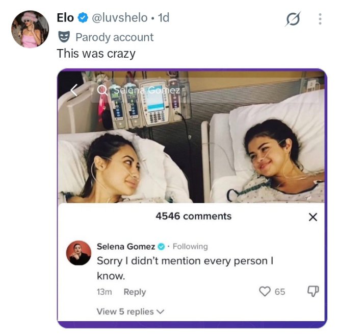 torturedhag's tweet photo. Every time Selena Gomez comes out looking gorgeous or has a new viral product Hailey Bieber's dogs come out of the group chats barking 😭 https://t.co/jOiGvMPwr6
