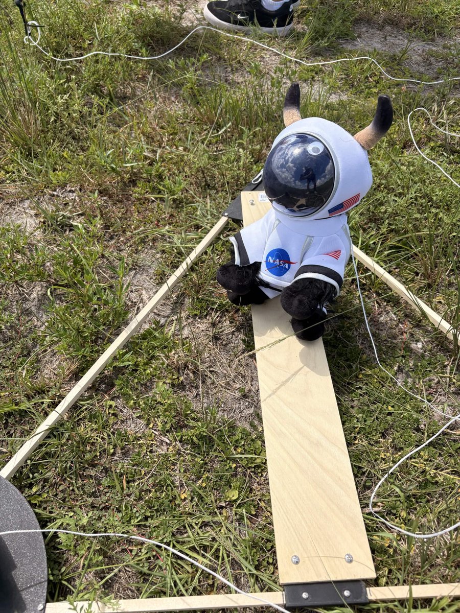 MOONBULLPUMP's tweet photo. I am live on pumpfun!   

I AM SENDING THE BULL TO THE FUCKING MOON!  

CA: 3q9ZjmQfJjFVh7QHZykbUWZtFroeZw85jveXHsHYpump

$MOONBULL

@blknoiz06 check this out https://t.co/z1TY6frx3R