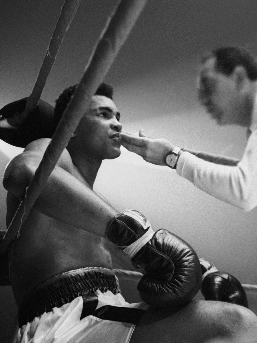 MuhammadAli's tweet photo. Champions on top 💯

#MuhammadAli #Talented #Boxer #BoxingRing #GOAT https://t.co/V11cS5V3iT