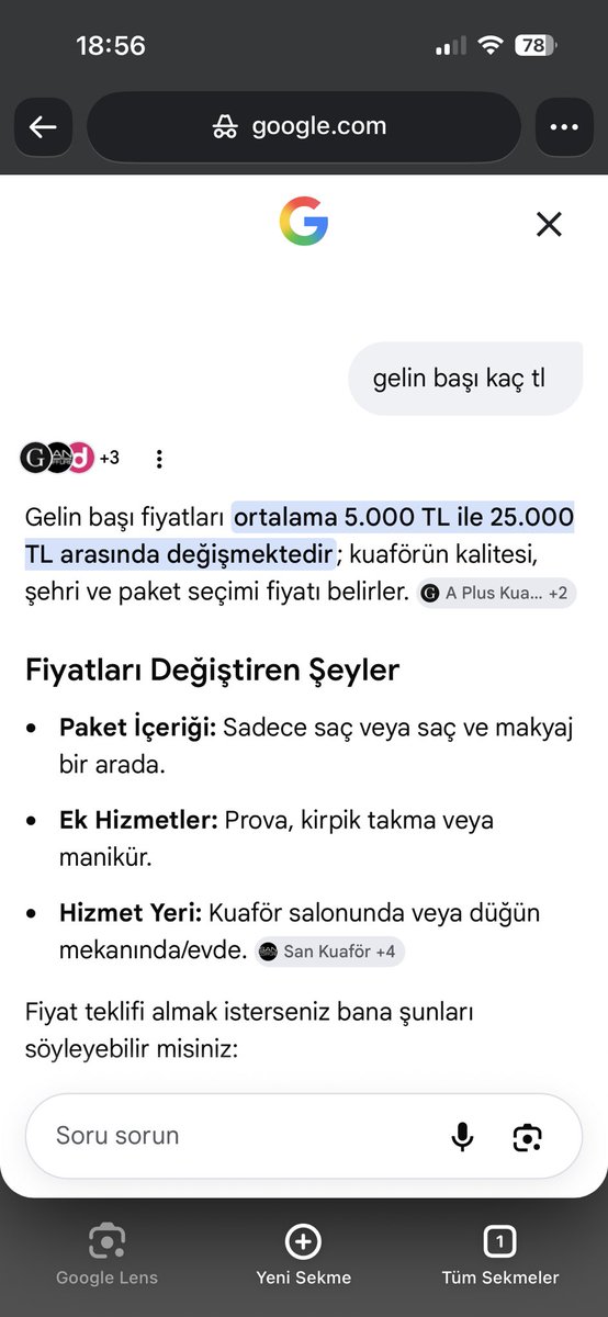 perslikaplumbağa tweet media