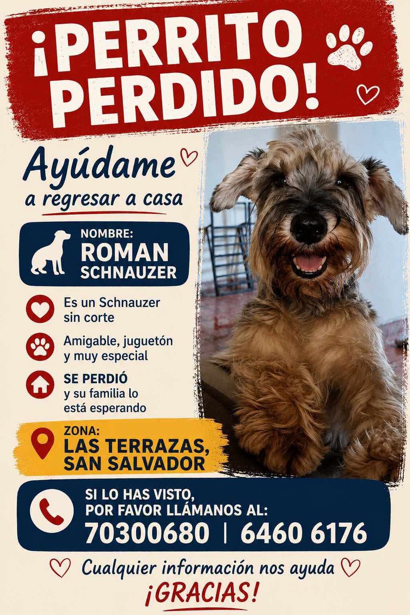 lyssitta's tweet photo. SERVICIO SOCIAL✅️
#SEBUSCA 📣
#EXTRAVIADO ‼️ https://t.co/oTPw1MItgN