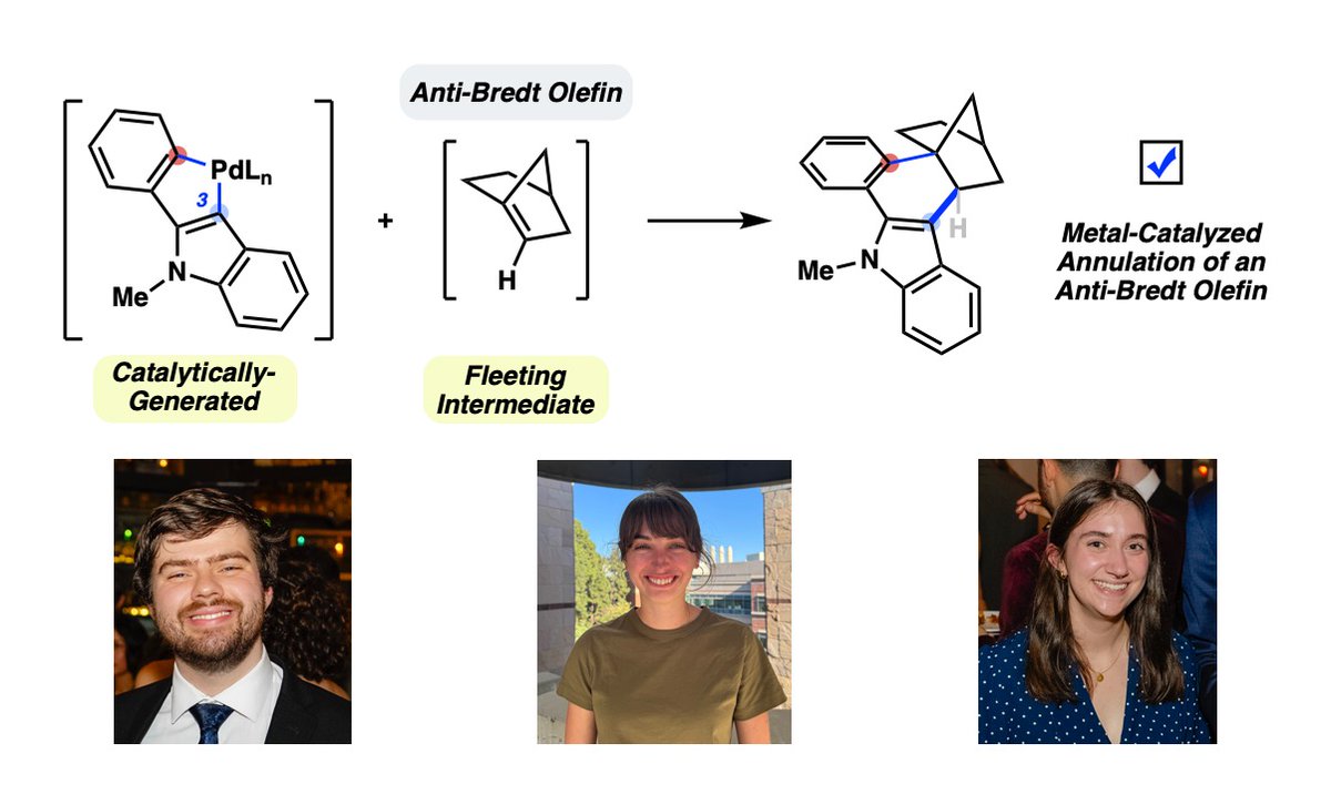 GargLab's tweet photo. We’re excited to share our latest study now out in @angew_chem describing Pd-catalyzed annulations of an anti-Bredt olefin. Congrats to @ZachWaltersChem, Marie, and Aimee! 
Read it here: https://t.co/x1FQIeRLzC
@UCLA @uclachem https://t.co/8FRxWUFuIF