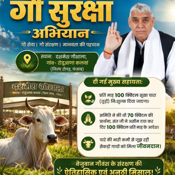 Radhesh65100977's tweet photo. #गौ_सुरक्षा_अभियान

#Sant_Rampal_Ji_Maharaj
संत रामपाल जी महाराज का गौ सुरक्षा अभियान
स्थान: दशमेश गौशाला, गांव- रोड़ूआणा कलवां (जिला रोपड़, पंजाब)
दी गई मुख्य सहायता:
• प्रति माह 100 क्विंटल सूखा चारा (तूड़ी) निःशुल्क दिया जाएगा।
• समिति ने की थी 70 क्विंटल की प्रार्थना, संत https://t.co/xD1z7dav9y
