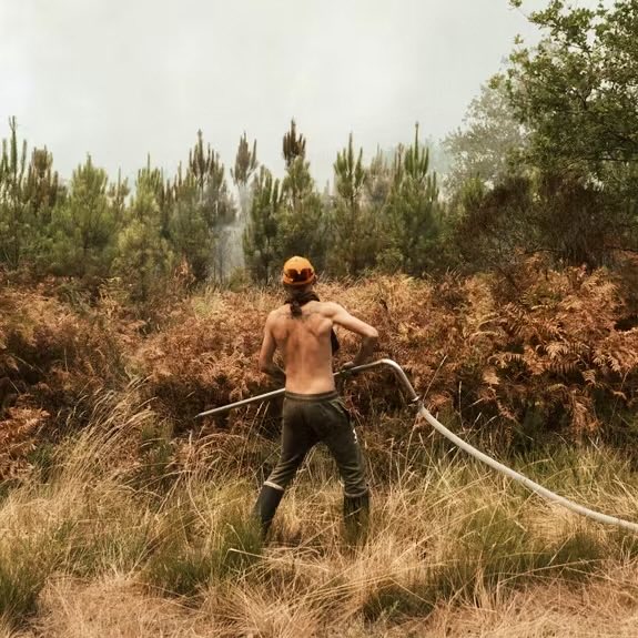SaintMontjoie's tweet photo. En république française, le petit blanc lutte contre l’incendie comme il peut. 
Pendant ce temps, la migrante tunisienne vole dans les maisons désertées. https://t.co/V3V4KFRXx7