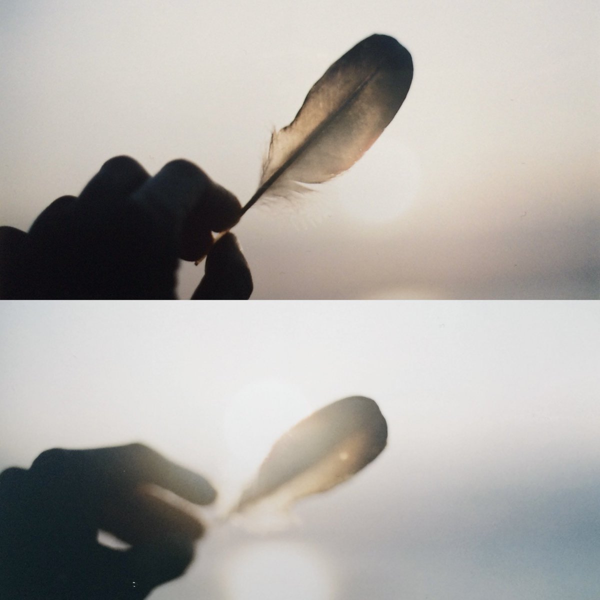 cat_0x0m's tweet photo. #film #photography https://t.co/Aj24wpBNMx