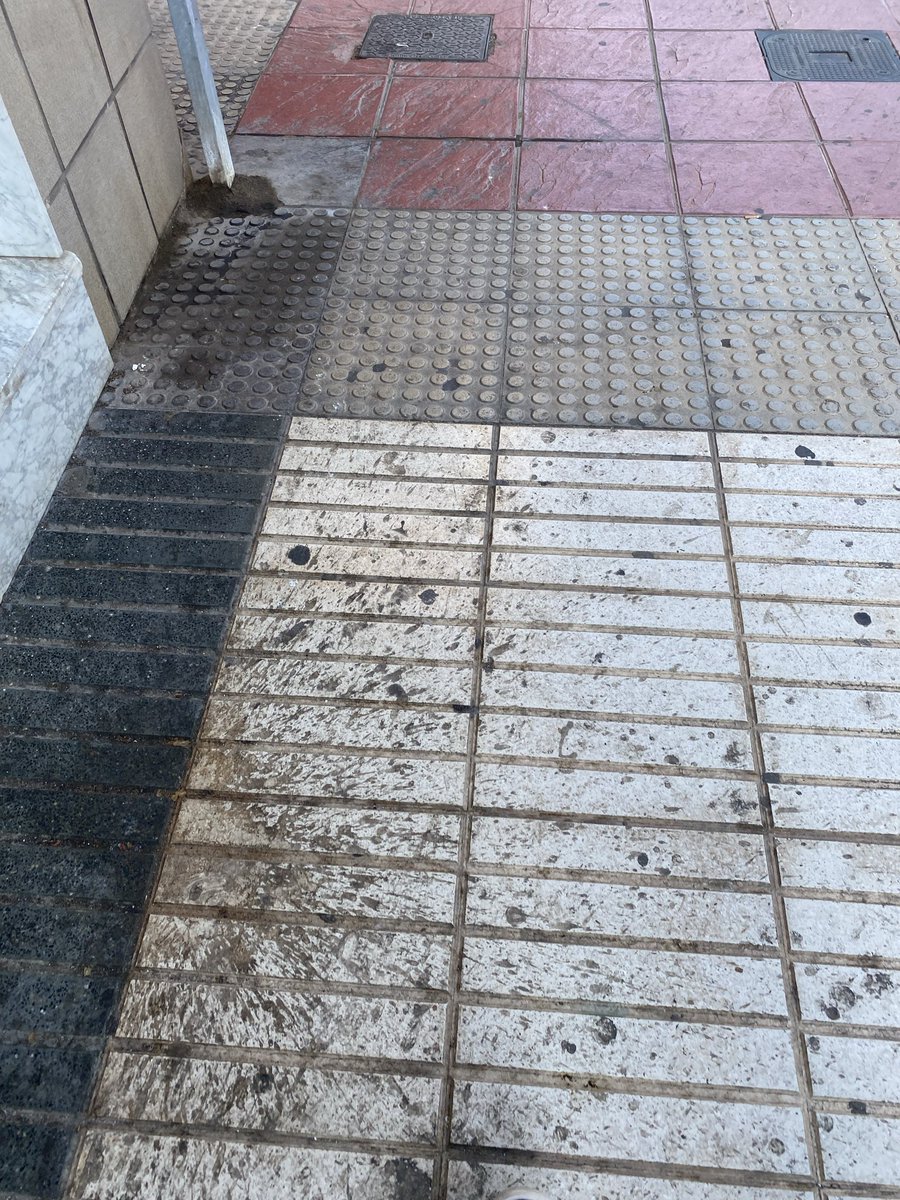 OJNoviembre's tweet photo. @carsax30 @AytoCartagenaES Desde cuándo no limpian por la zona de los Juncos???? @AytoCartagenaES @NoeliaArroyoHer https://t.co/6hw161XeEu