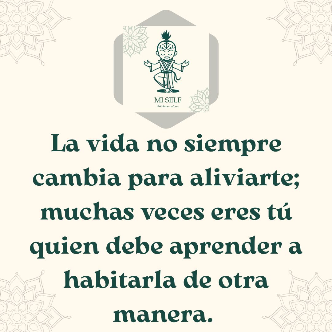 cham_manuel tweet picture