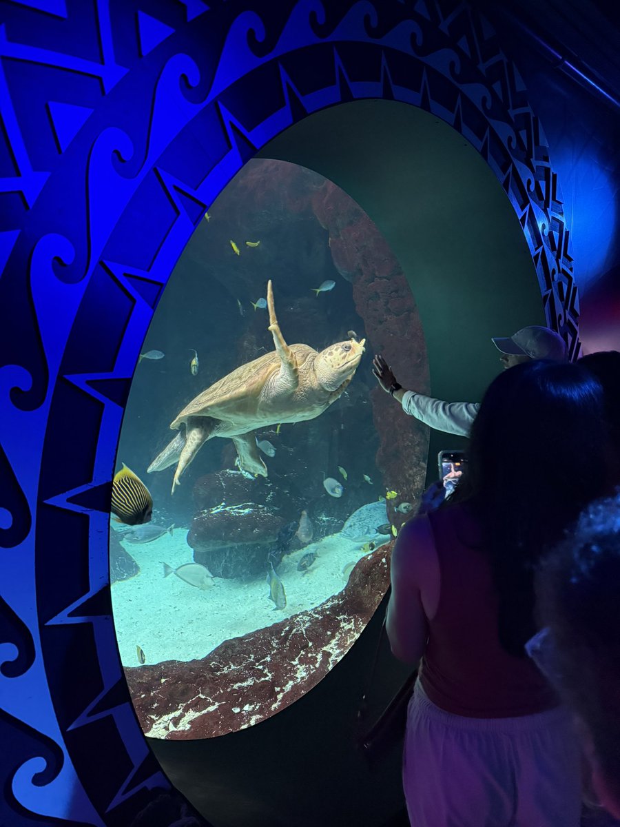 ZephenF's tweet photo. Tampa Aquarium! https://t.co/AGKtmwvgux