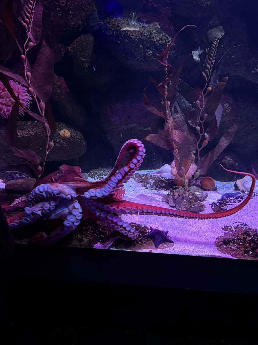 ZephenF's tweet photo. Tampa Aquarium! https://t.co/AGKtmwvgux