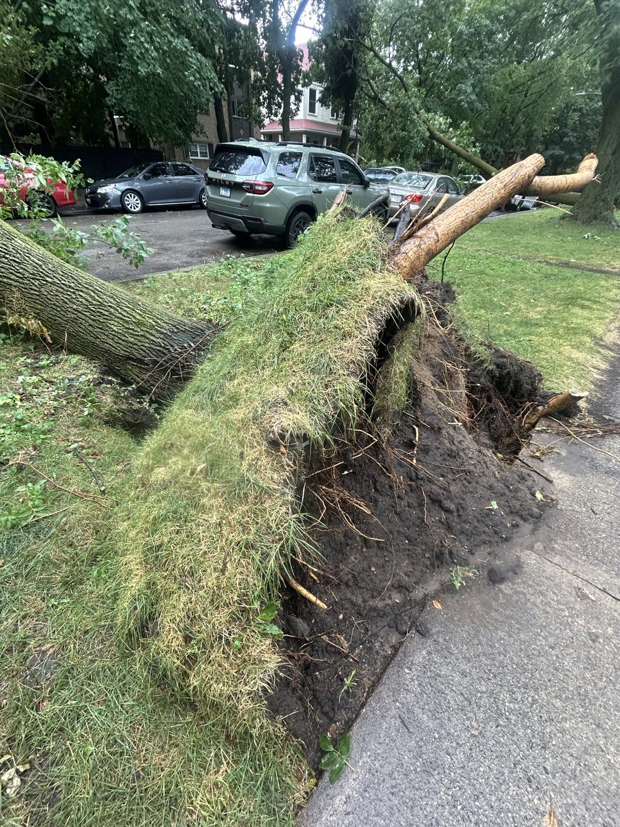 Sarah_Chicago's tweet photo. “Wow.” That’s been the reaction from neighbor after neighbor walking up to the storm damage on Chase Avenue in Rogers Park. Two mature trees came crashing down, leaving one car crushed and several others unable to get out. @WBBMNewsradio https://t.co/wleRe31Syh