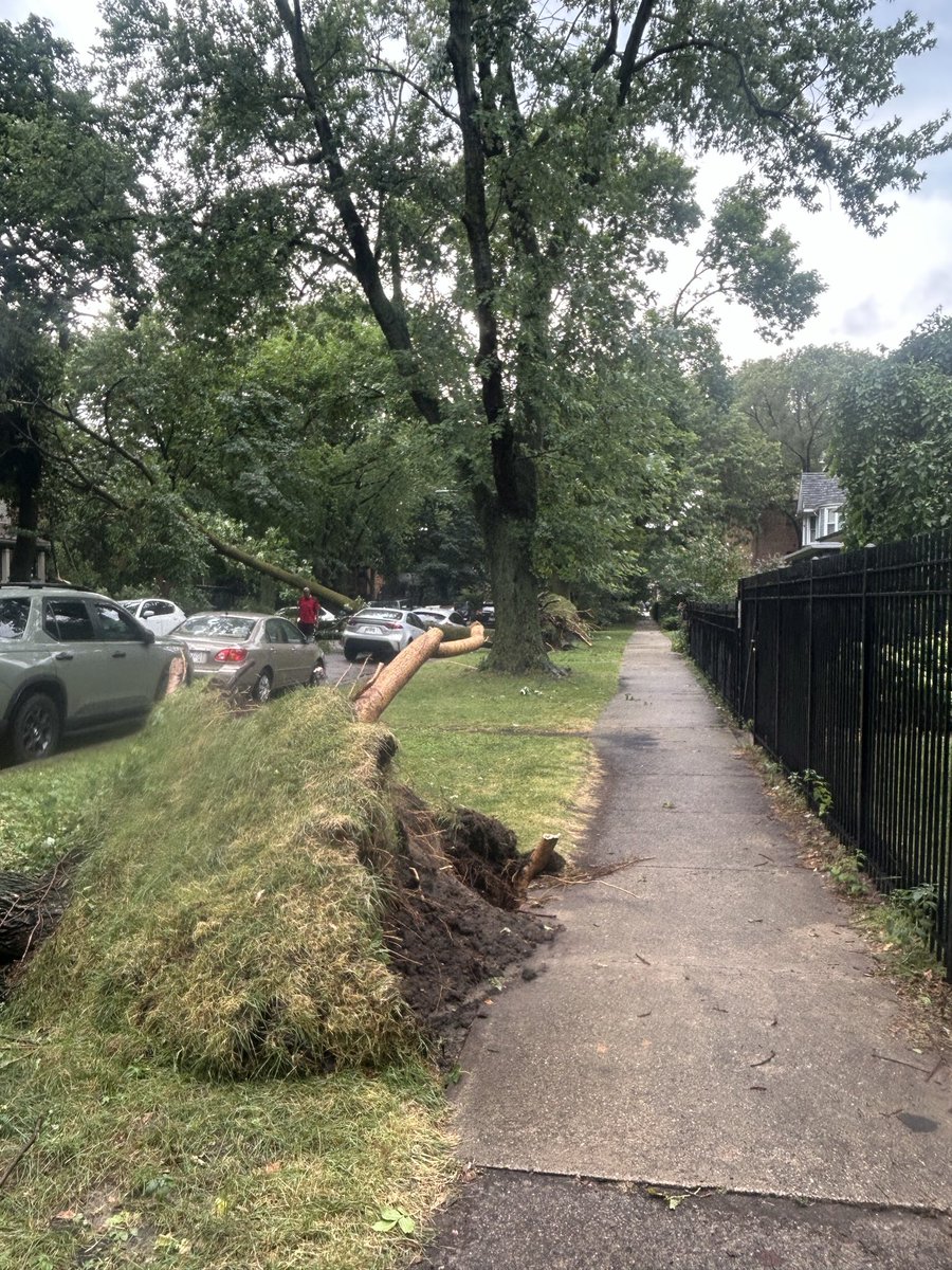 Sarah_Chicago's tweet photo. “Wow.” That’s been the reaction from neighbor after neighbor walking up to the storm damage on Chase Avenue in Rogers Park. Two mature trees came crashing down, leaving one car crushed and several others unable to get out. @WBBMNewsradio https://t.co/wleRe31Syh