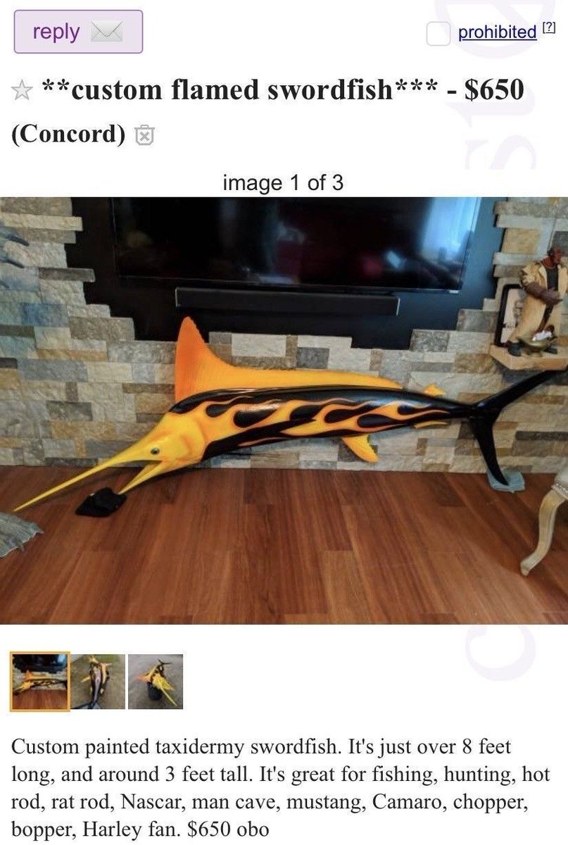 equine__dentist's tweet photo. can i borrow $650 for no particular reason https://t.co/T8nn2NeYF2
