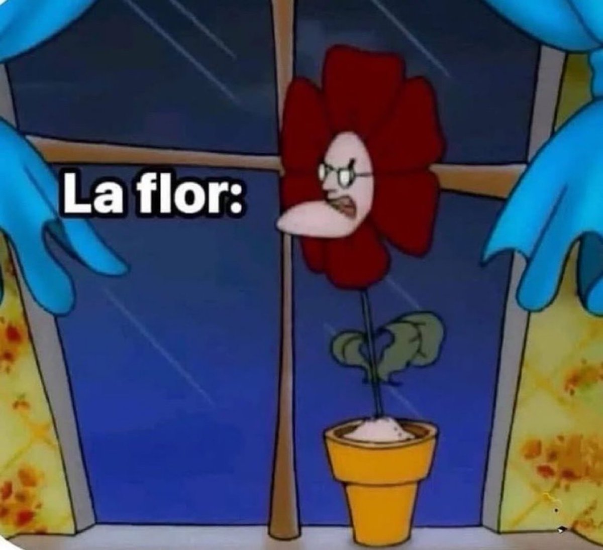 Guarromantico_'s tweet photo. Los 30s son la flor de la juventud. https://t.co/tiGTdozulZ