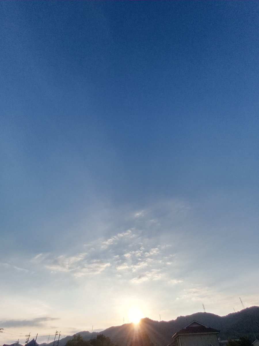 7S9iox4ccWsblAD's tweet photo. 蝉が良く鳴いている 
朝でした

#朝散歩
#キリトリセカイ https://t.co/FdppAuAKae