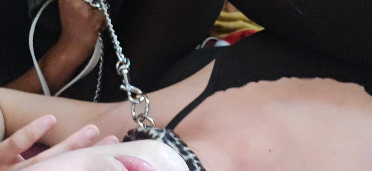 bimb0cum's tweet photo. Good pets don’t beg—they pay. 

findom finsub https://t.co/ItZarQknf6