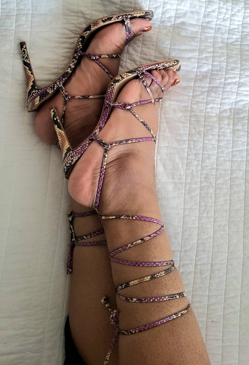 Zadye's tweet photo. #shoefetish #footfetısh #findomstay #findom #paypig https://t.co/N6Jc2NGMsN