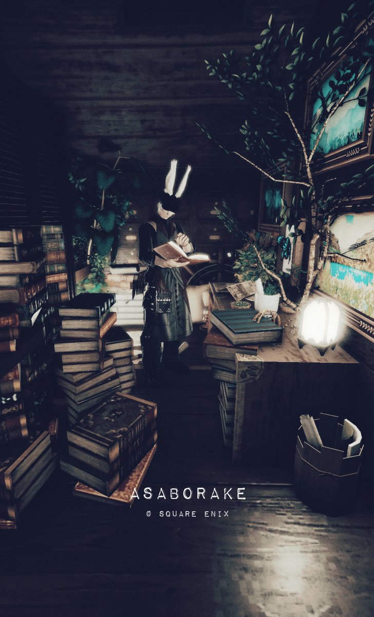 kinakosan___'s tweet photo. 🌿📚🫶🏻
#asaborake https://t.co/Yxp2VcXE2j