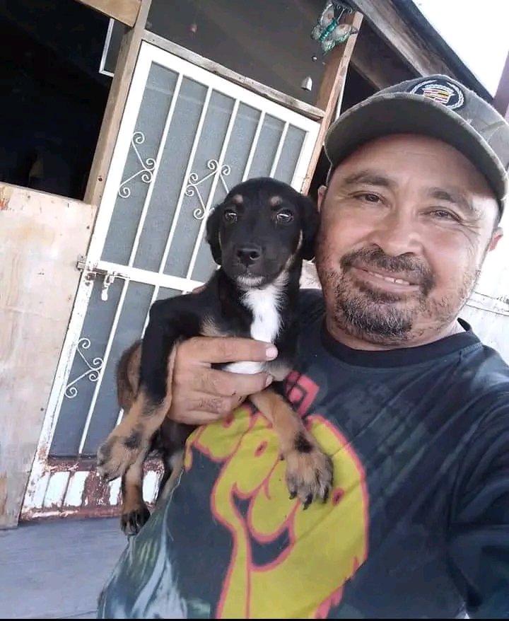 JorgeJaime_1's tweet photo. Necesitamos alimento húmedo para perritos  y para gatitos productos de limpieza y de paso unos sueros para mi que el calor esta muy feo yo quiero empeñar  mi cel pero no tengo mi credencial se  me perdió ( triste pero mañana Dios proveerá siempre llegara un mejor mañana) https://t.co/Qxffkc0LH0