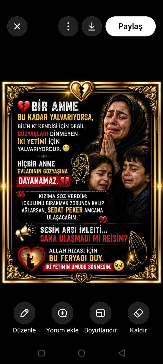 Songülll tweet media