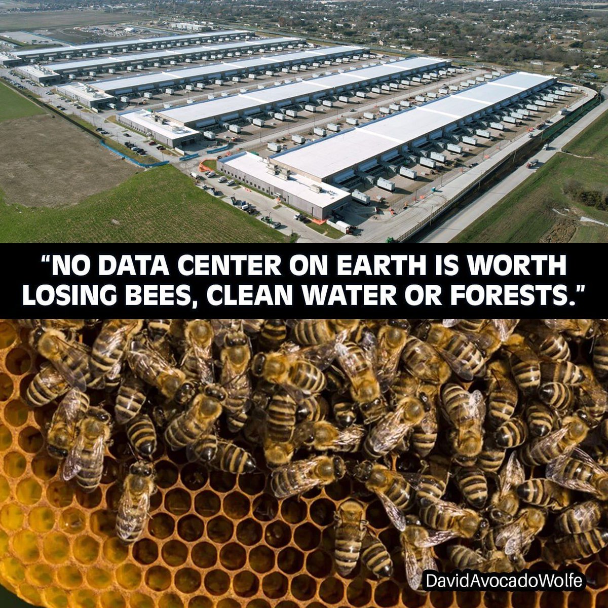 DavidWolfe's tweet photo. https://t.co/c4m9LPIWrF