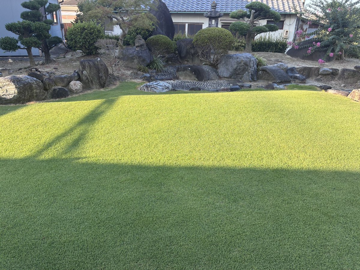 TOSHI2014_413's tweet photo. サルスベリが満開に https://t.co/QCcsHfOTNq
