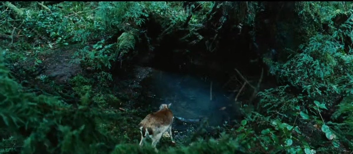 twilightandsaga's tweet photo. Changed lives. https://t.co/Opk584eoFA