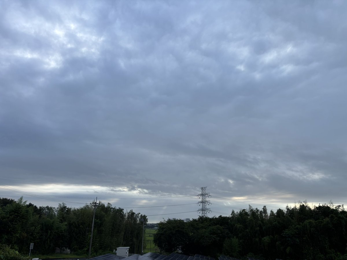 310ru_k_311's tweet photo. 早朝ちょこっとシャワーラン。
#幡ヶ谷再生大学陸上部茨城
#５キロ走って出直して来い
#雑走魂
#65BASE https://t.co/WOMkhsV8cf
