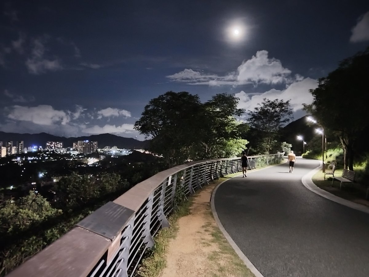 park4963's tweet photo. 今天加班到深夜，地铁最后一班的风灌进衣领，刚好看到窗外路灯照着梧桐树落了一地碎金，瞬间觉得疲惫都散了大半。 https://t.co/hASqcTz8ZG