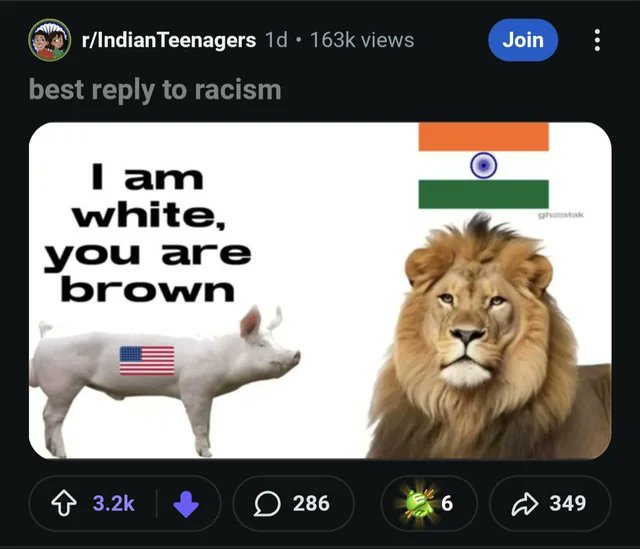 Basedgoymemes's tweet photo. Indians will post stuff like this and then beg for a visa to move to a White country https://t.co/MSYOo9QopM