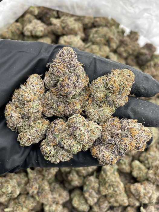 HempSup420's tweet photo. Blackberry zourz✈️📦💯🔥

P: $900
Text: +1 7653352982

https://t.co/E25bbdXD4l https://t.co/jQ6467yT9S